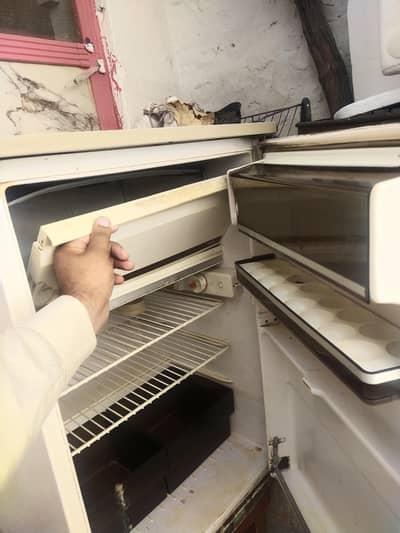 japan fridge