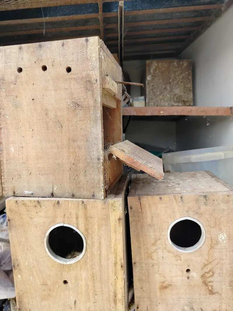 KEEKER BREEDING BOX — photo 3