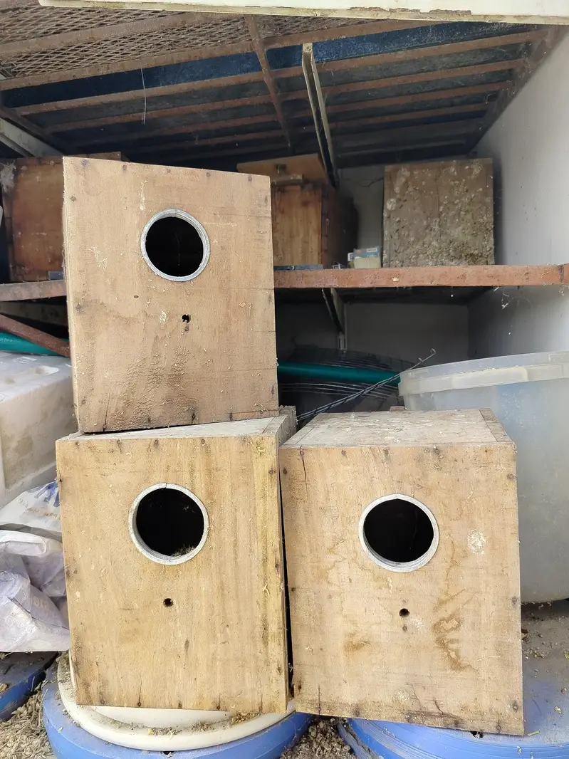 KEEKER BREEDING BOX — photo 4