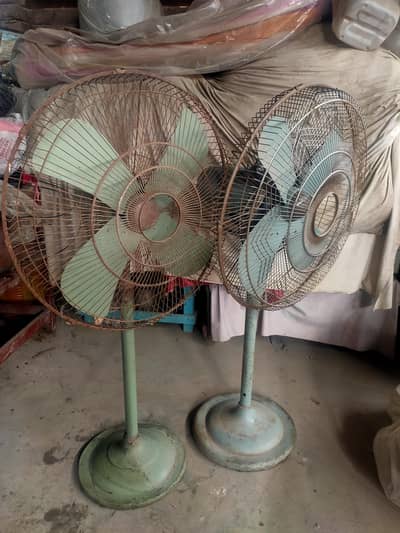 Pedestal fans