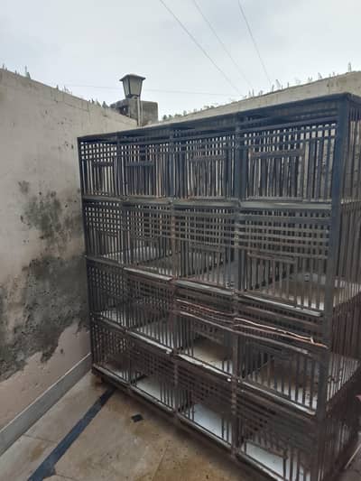 Birds cage for sale
