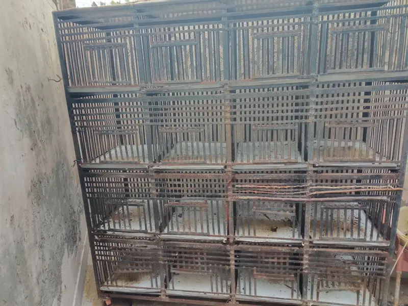 Birds cage for sale — photo 2