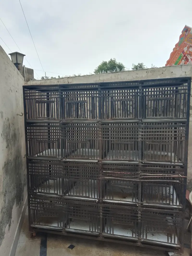Birds cage for sale — photo 3