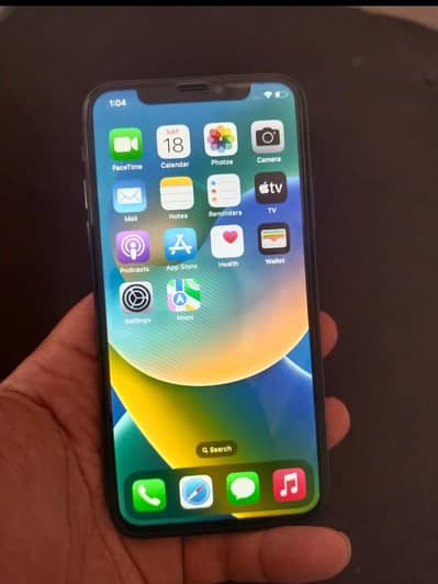 Apple iPhone X