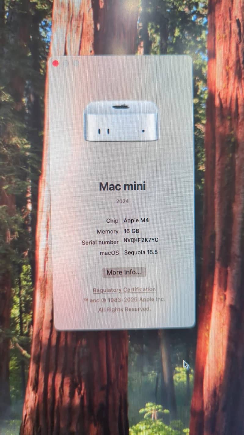 Mac mini M4 chip 2