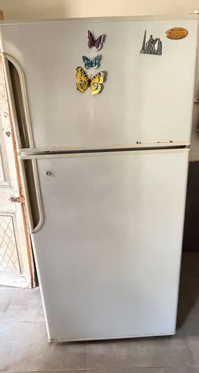 Fridge