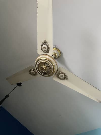 Ceiling fans for Sale  royal fan