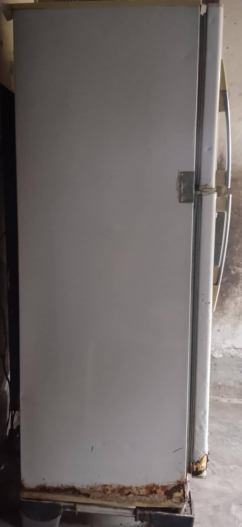 freezer 2