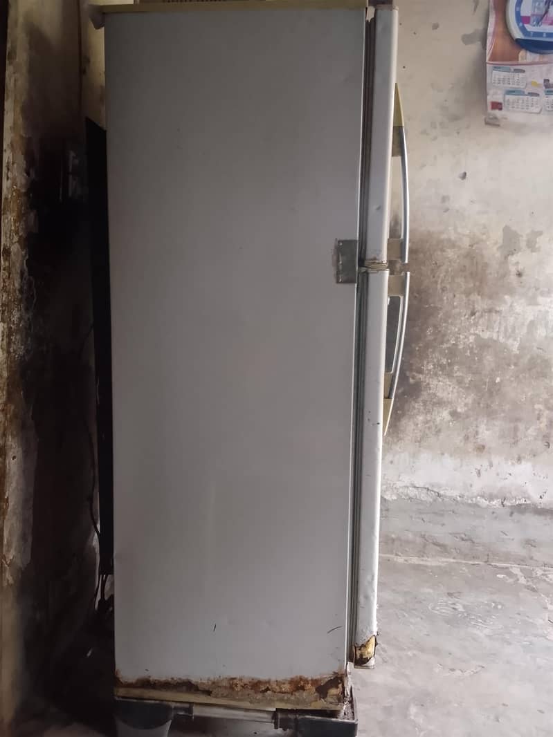 freezer 3
