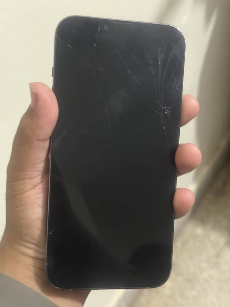 Apple iPhone 13 Pro Max 5