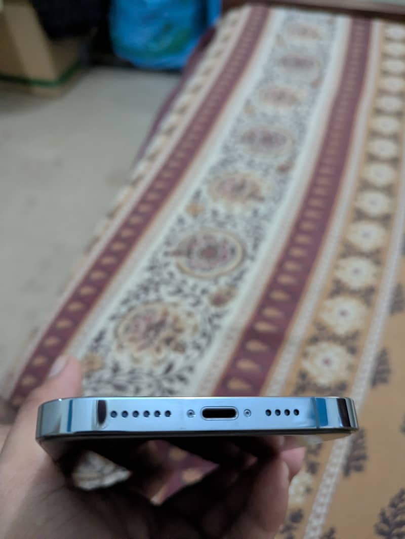 Apple iPhone 13 Pro Max 1