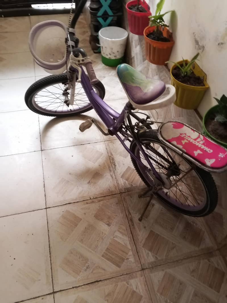 beby cycle 1