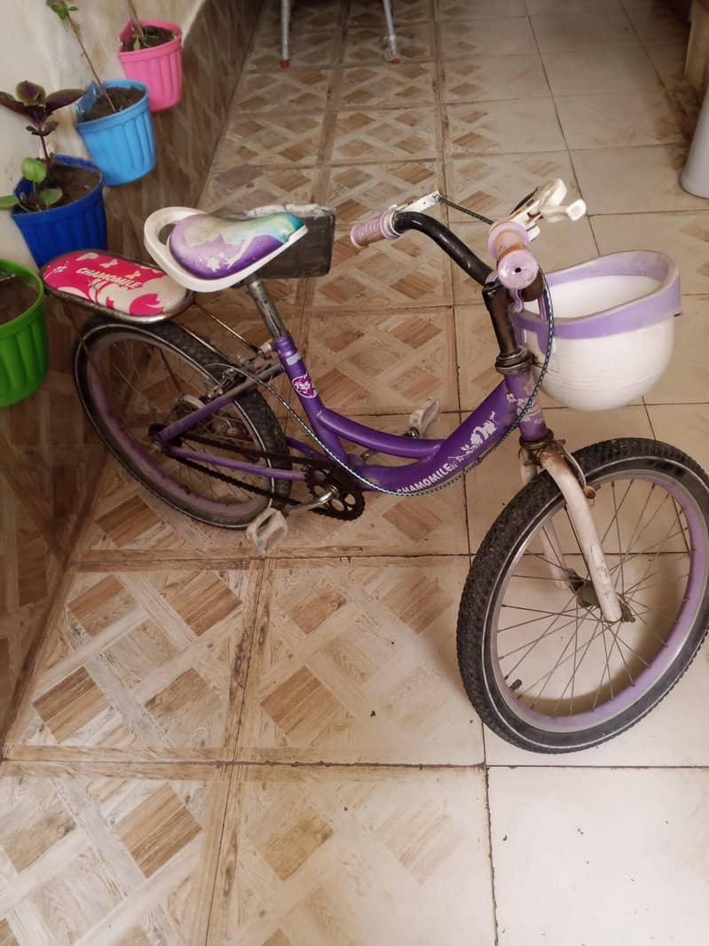 beby cycle 2
