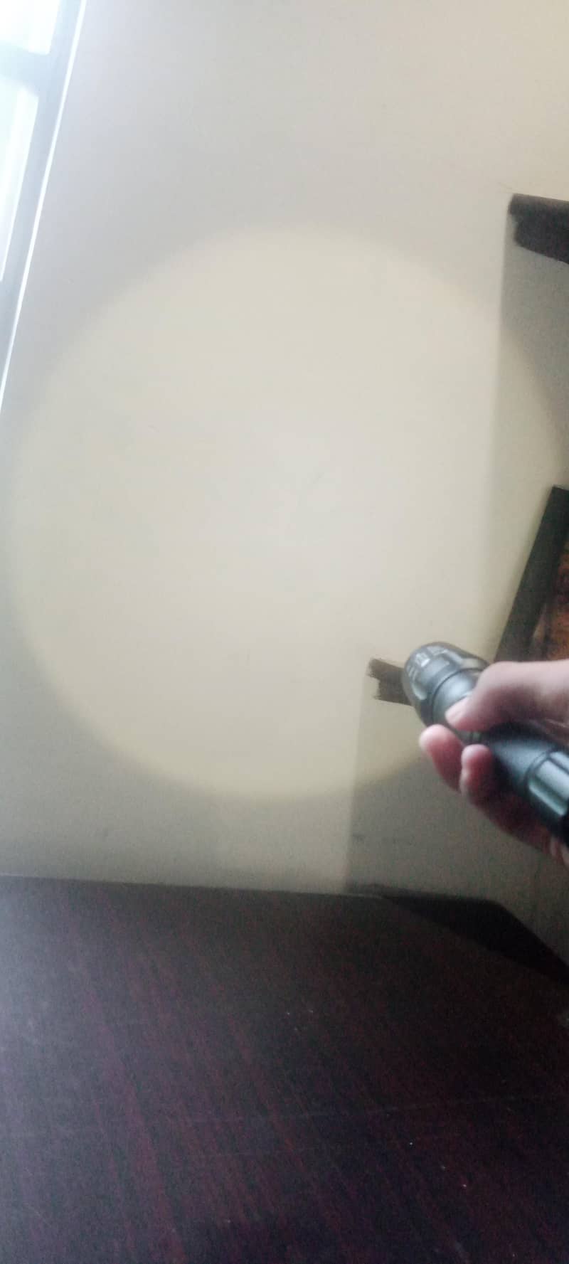 best light 2