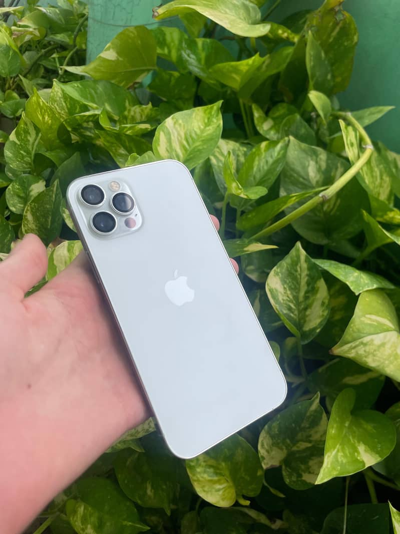 Apple iPhone 12 Pro 0