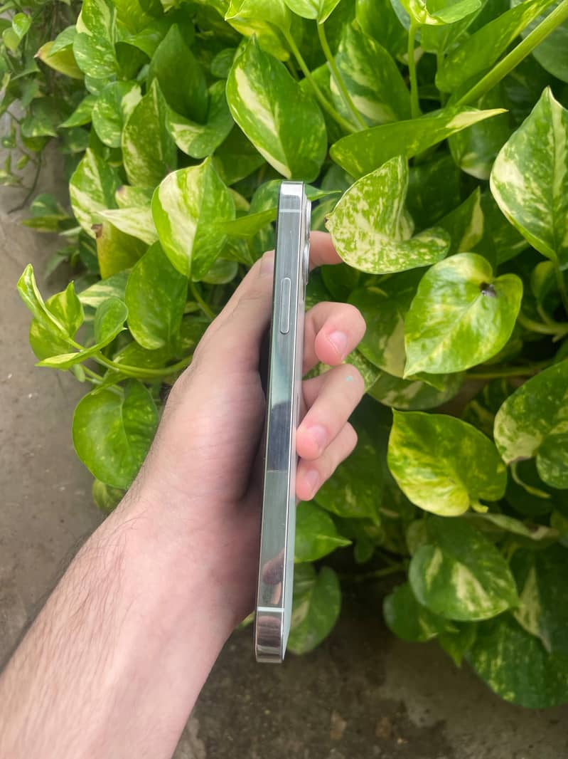 Apple iPhone 12 Pro 2