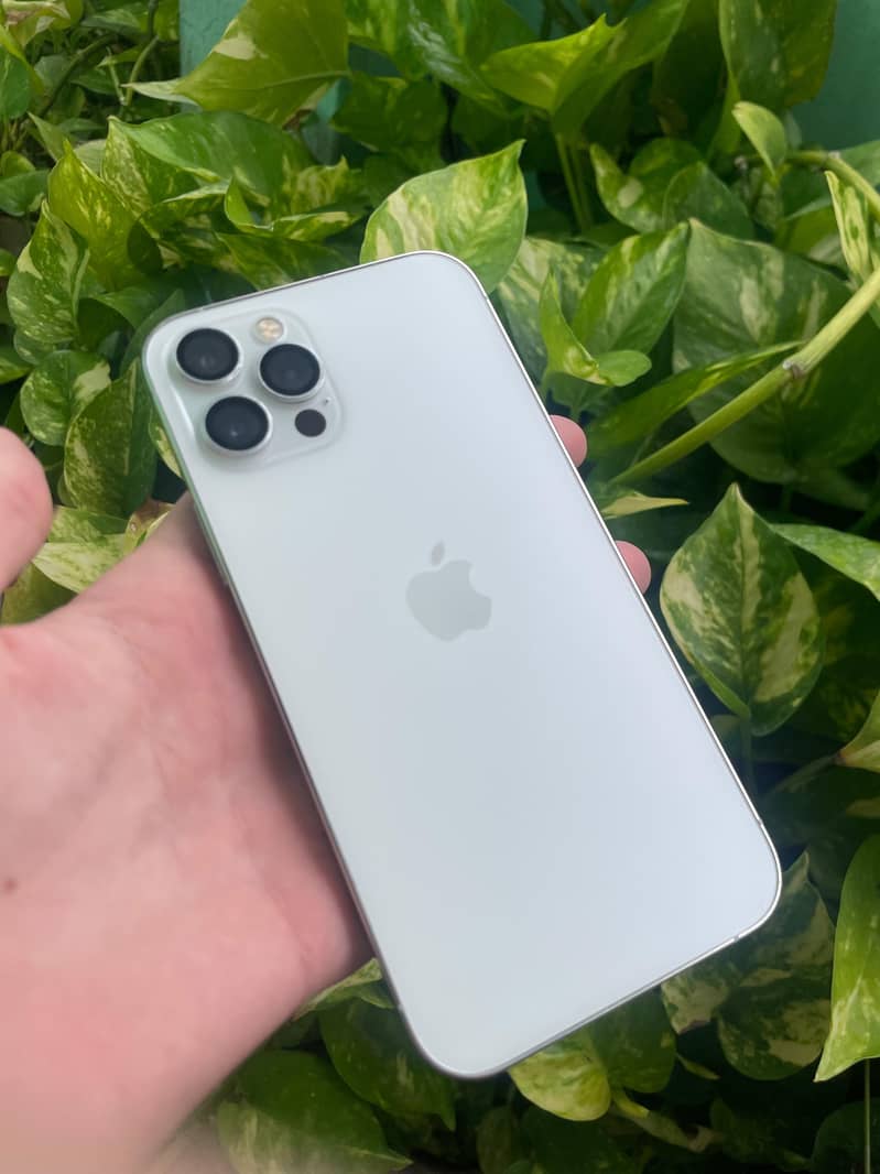Apple iPhone 12 Pro 3