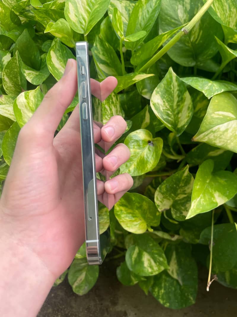 Apple iPhone 12 Pro 5
