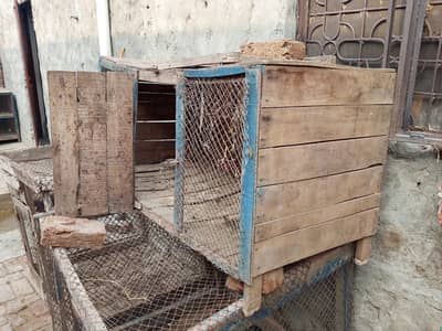 cage for sale