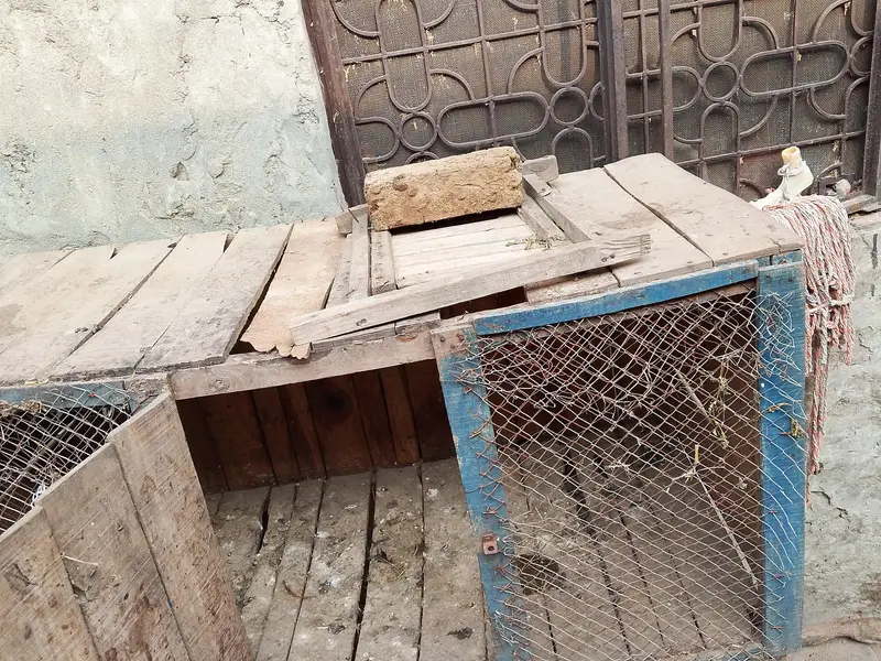 cage for sale — photo 2