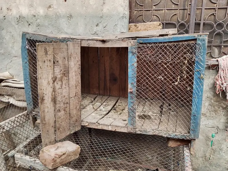 cage for sale — photo 3