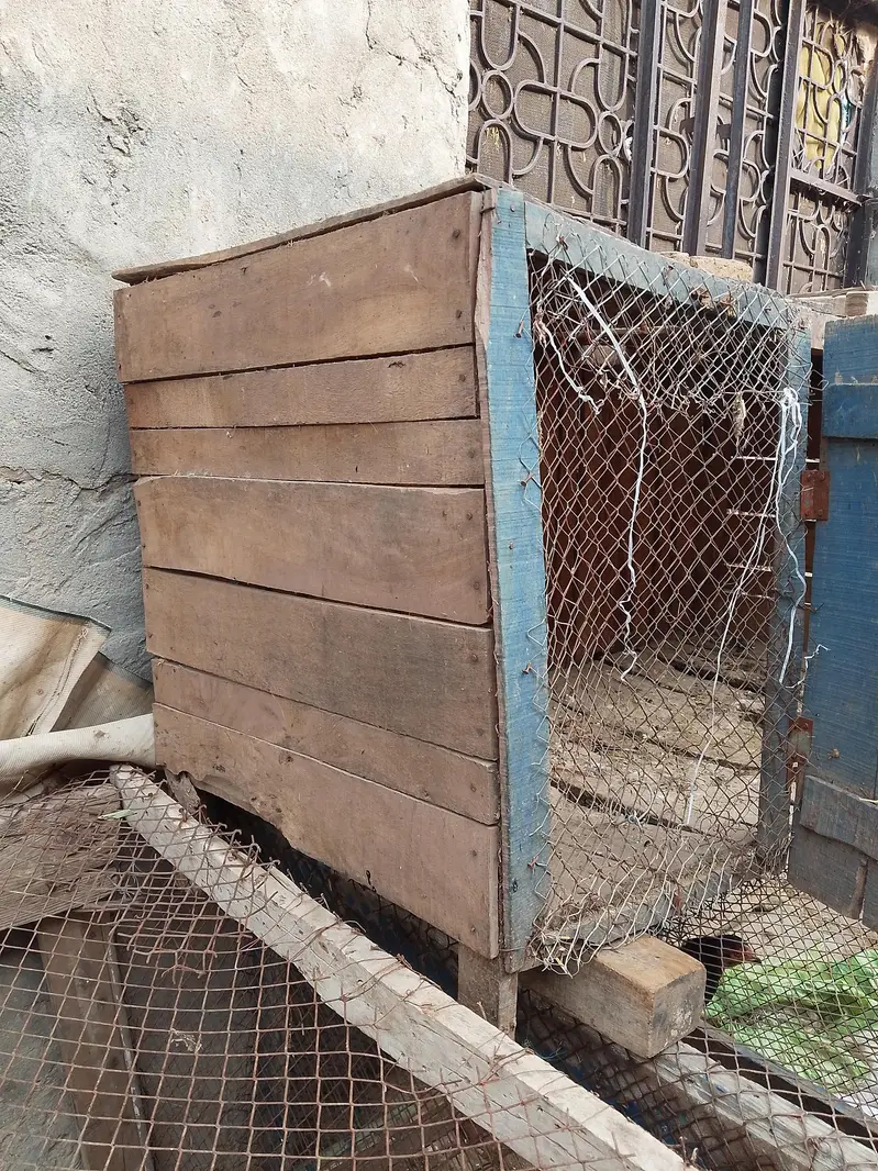 cage for sale — photo 4