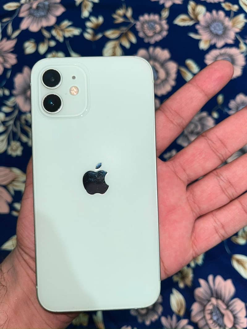 Apple iPhone 12 mini 1