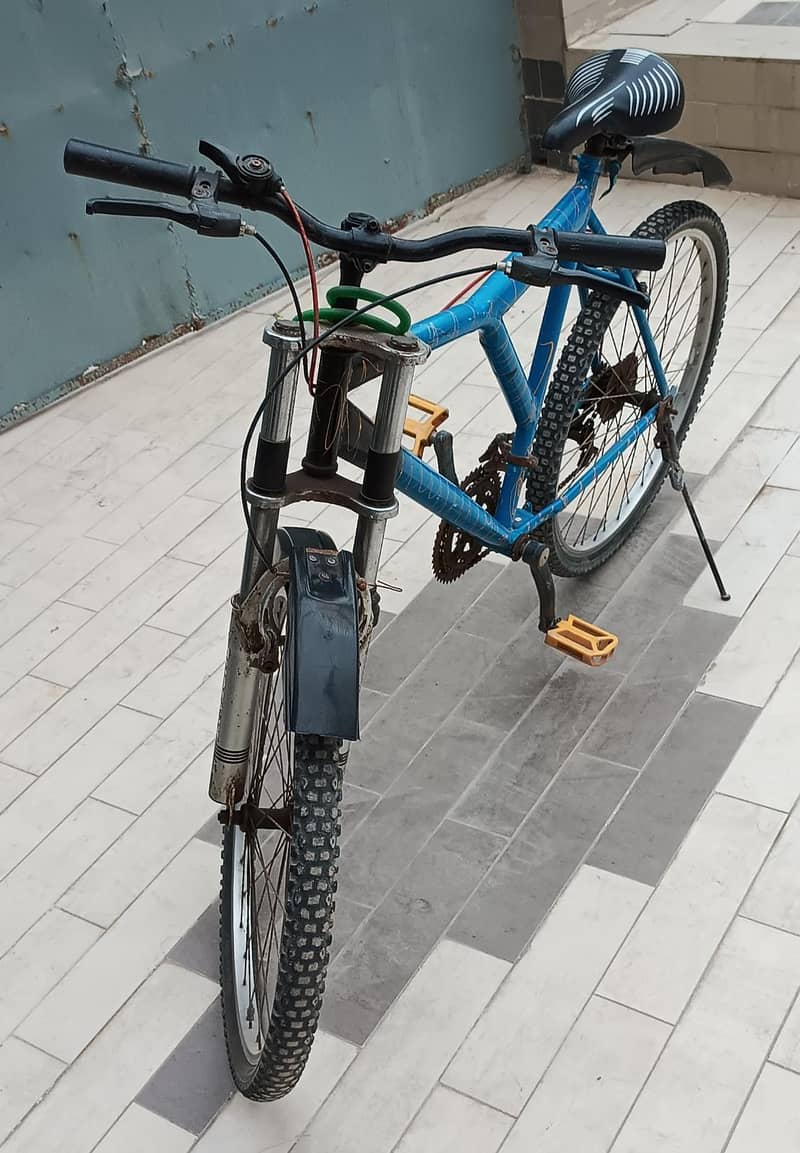 Phoenix Bicycle 0