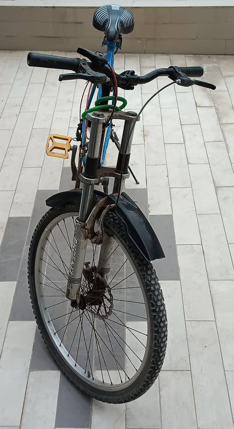 Phoenix Bicycle 1