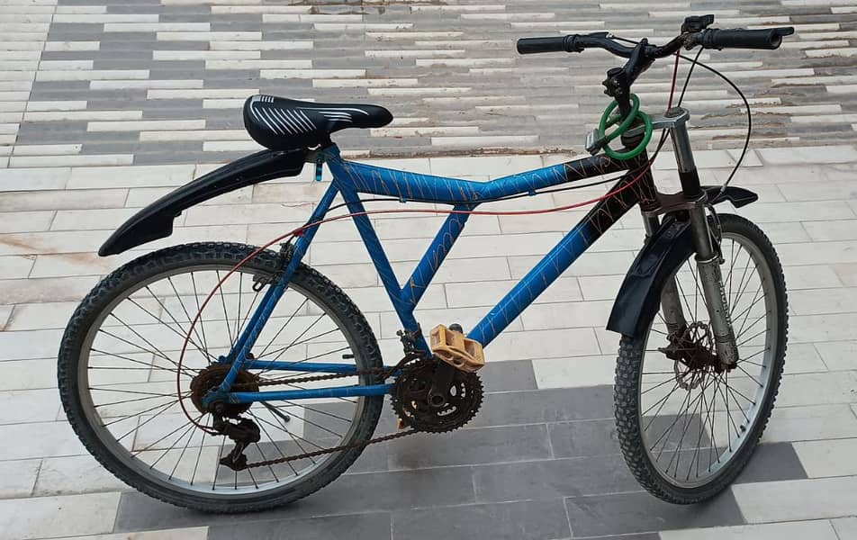 Phoenix Bicycle 2