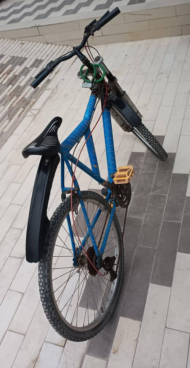 Phoenix Bicycle 3