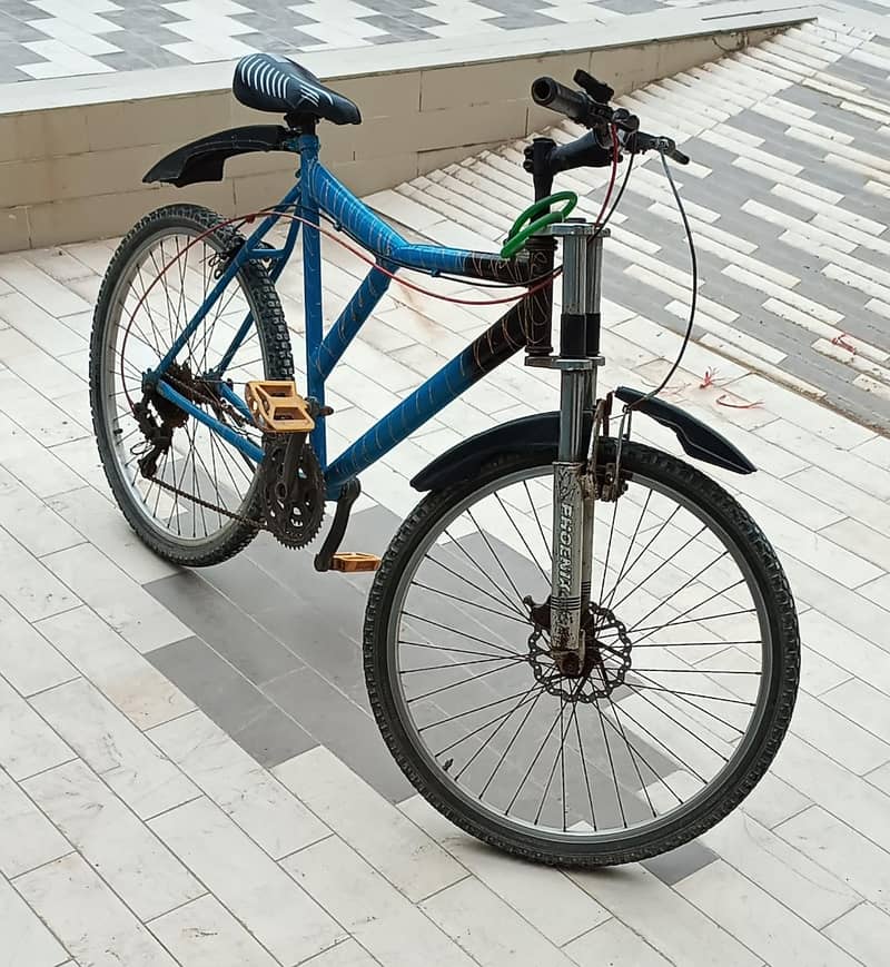 Phoenix Bicycle 4