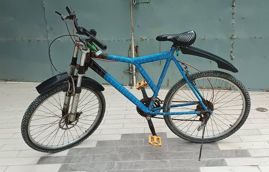 Phoenix Bicycle 5