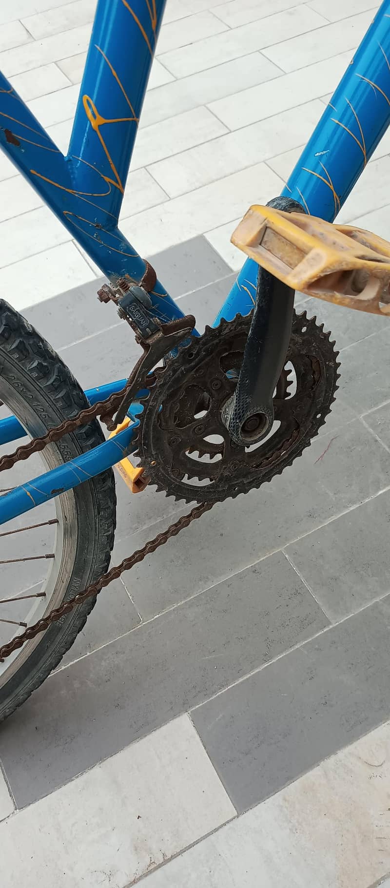 Phoenix Bicycle 6
