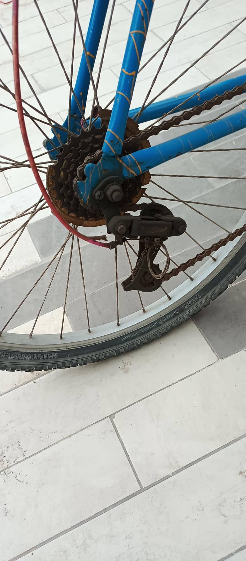 Phoenix Bicycle 7