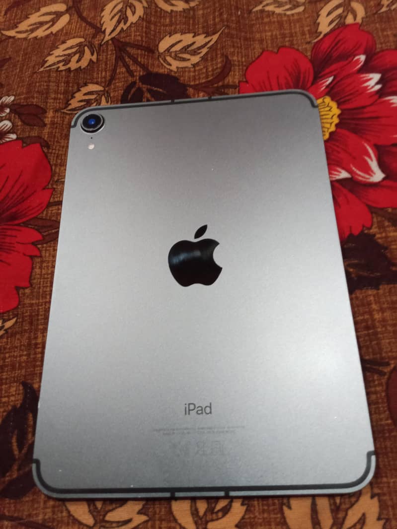 ipad mini 6 0