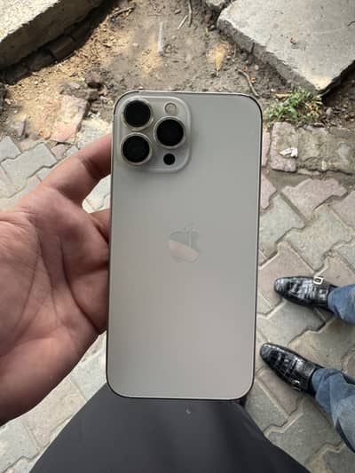 Apple iPhone 13 Pro Max