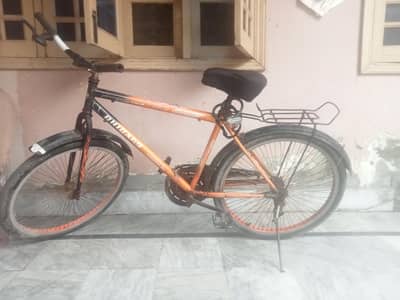 cycle