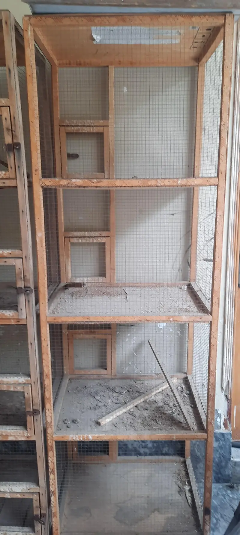 birds cages and accessories — photo 2