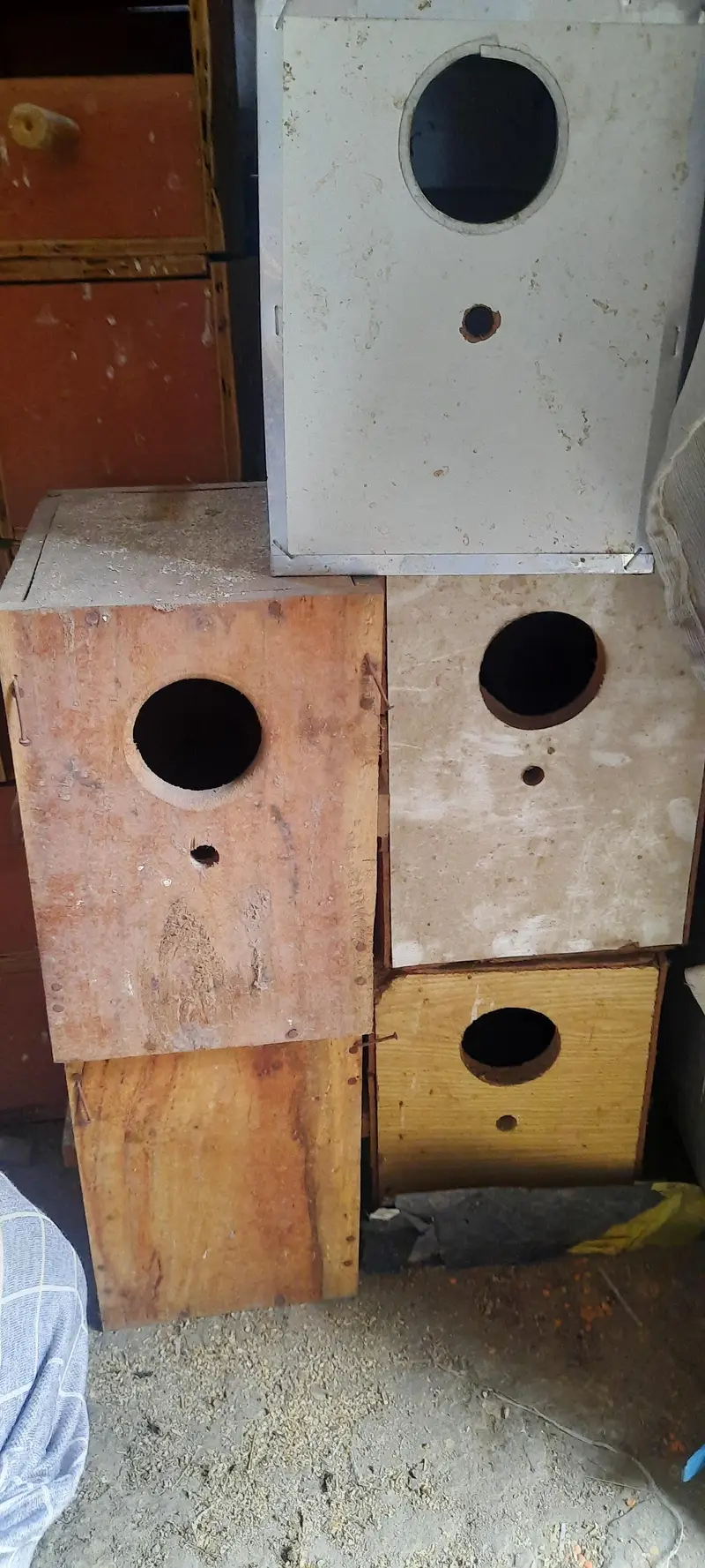 birds cages and accessories — photo 3