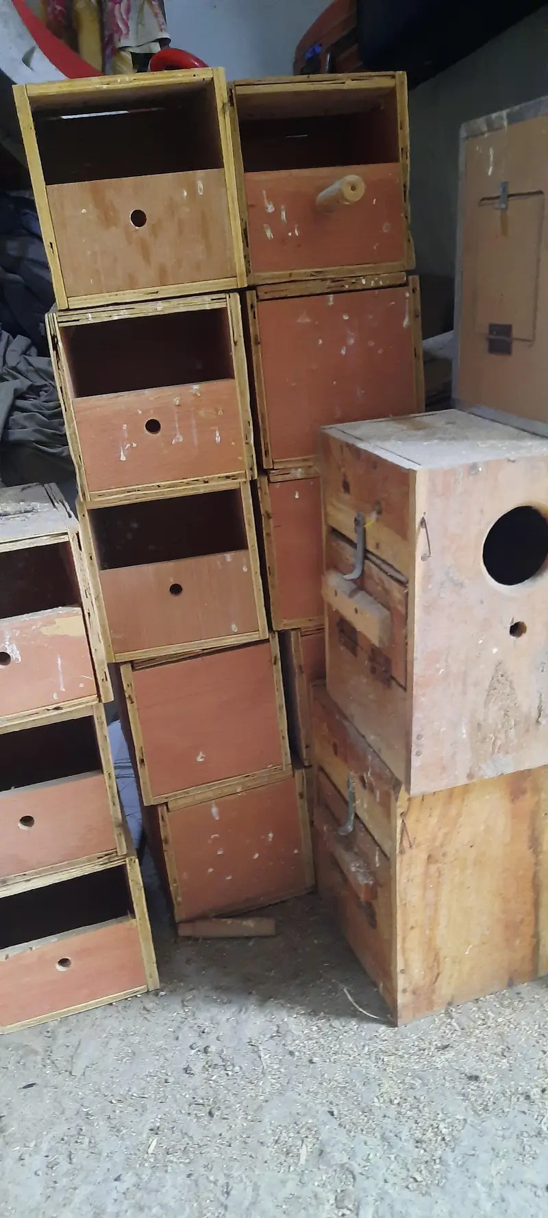 birds cages and accessories — photo 4