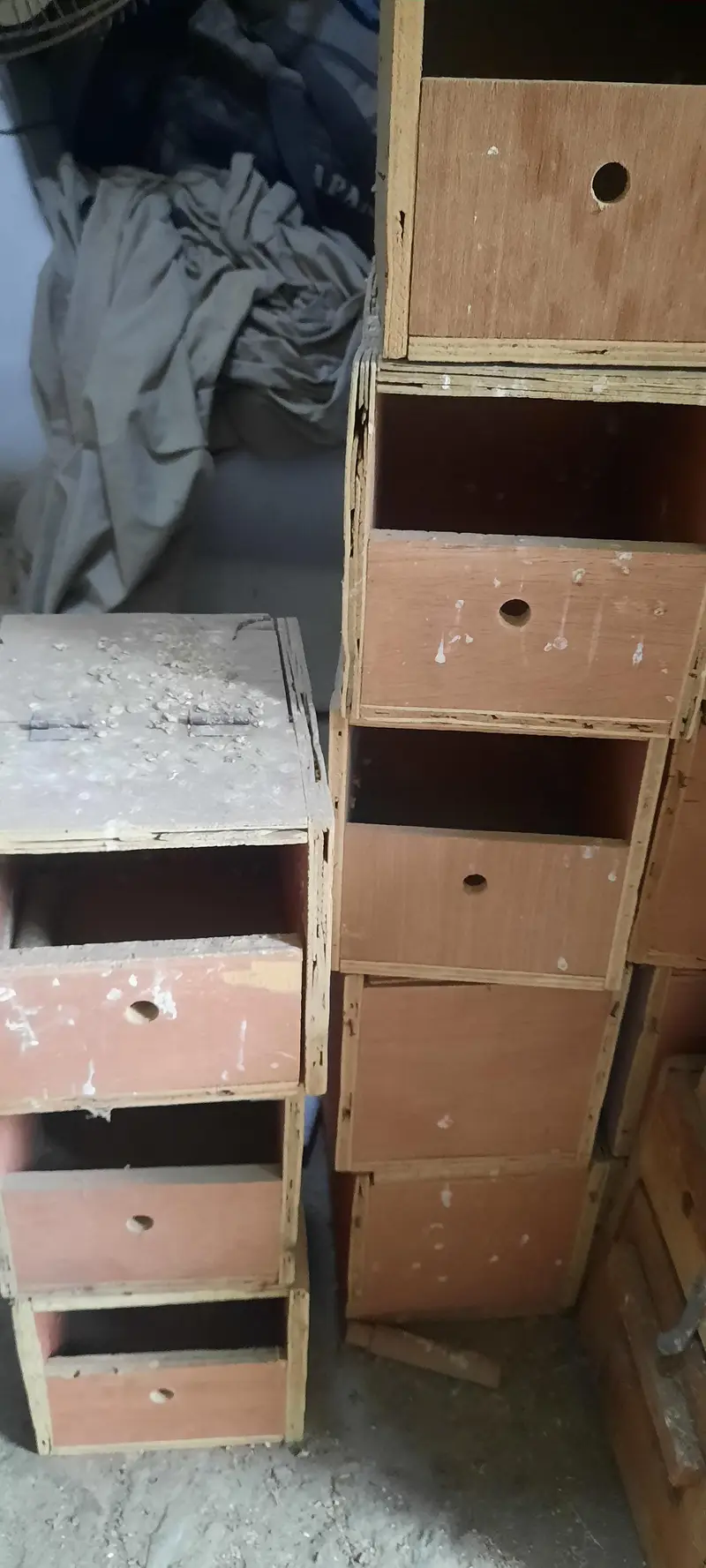birds cages and accessories — photo 5