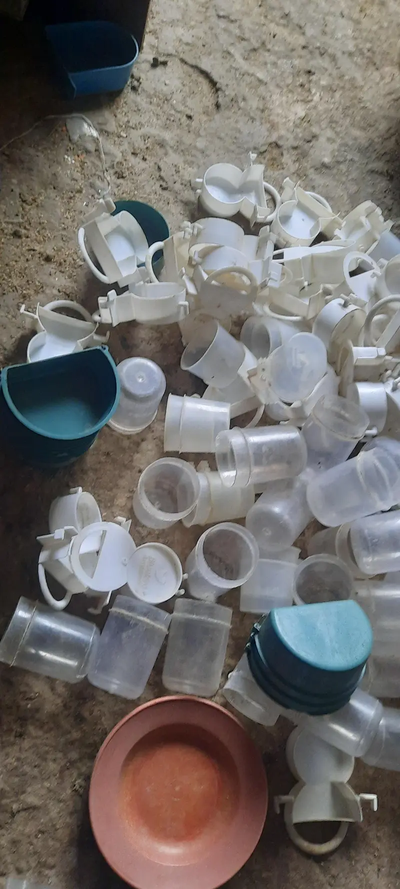 birds cages and accessories — photo 7