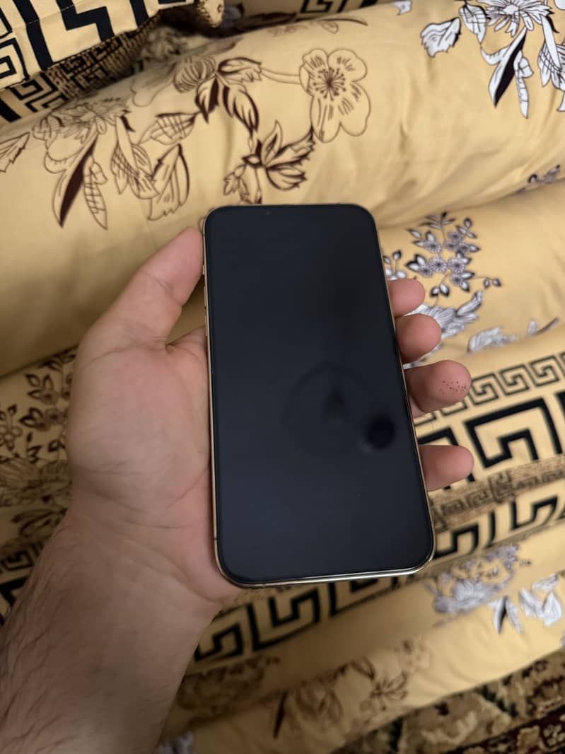 Iphone 13 pro max 1