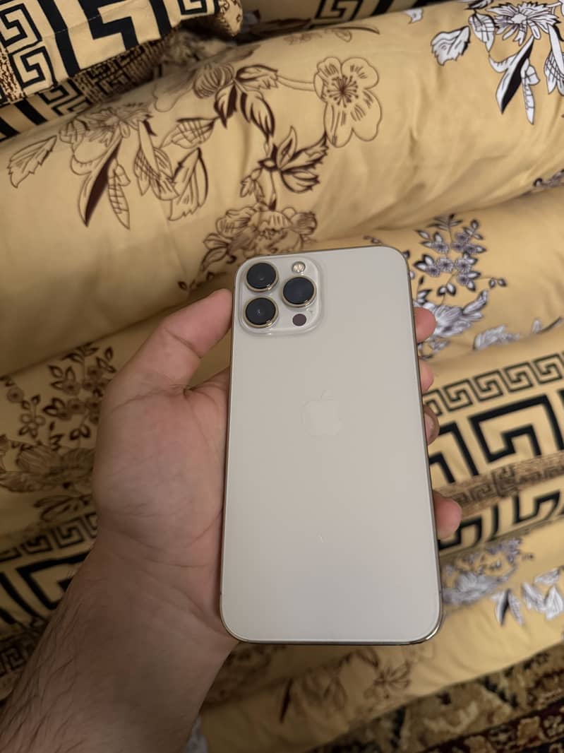 Iphone 13 pro max 3