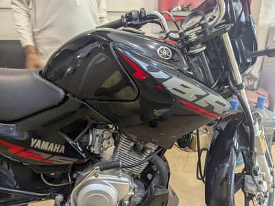 Yamaha YBR 125 2024