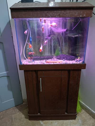Aquarium with Fishes