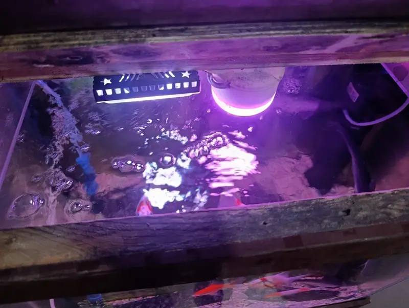Aquarium with Fishes — photo 3