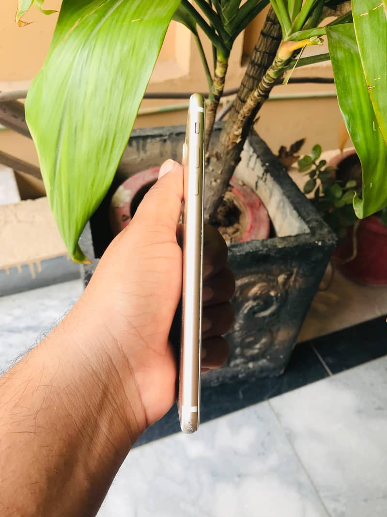 Apple iPhone 7 Plus 1