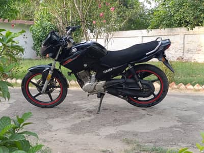 YAMAHA YBR-125 (0301/2945/845)